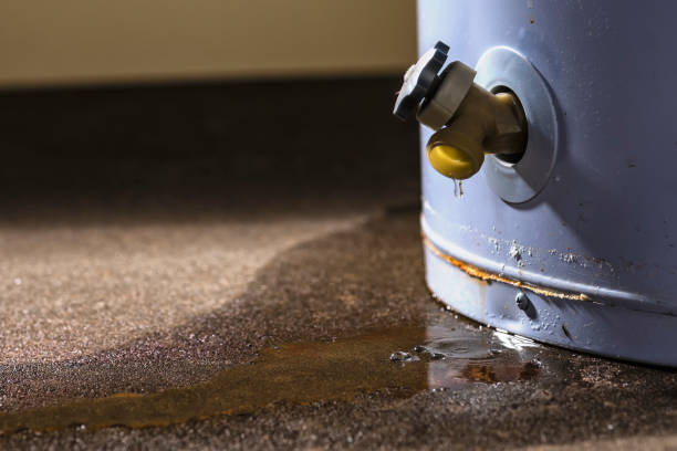 Professional Water damage restoration in ID