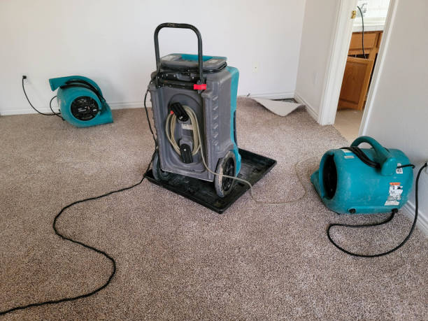 Best Water damage contractors near me  in Star, ID