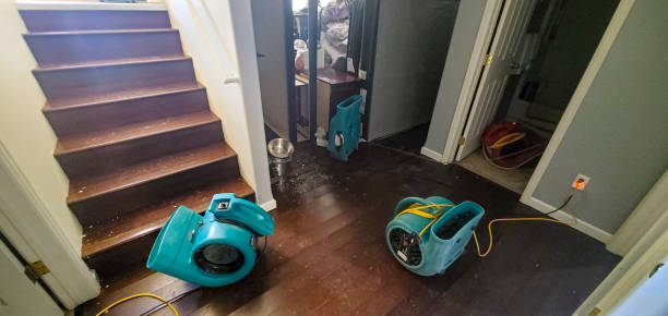 Best Carpet water damage restoration  in Star, ID