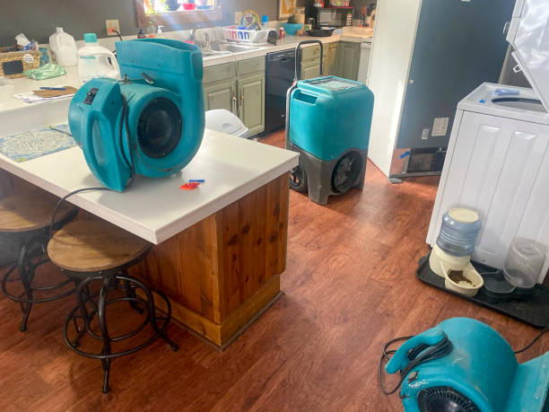 Best Ceiling water damage repair  in Star, ID