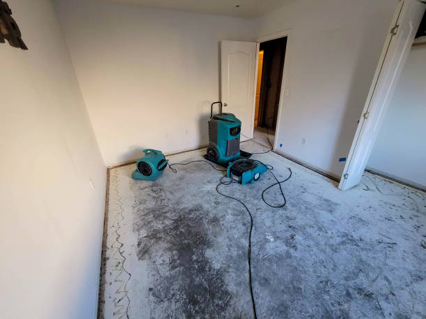 Best Water damage restoration cost  in Star, ID