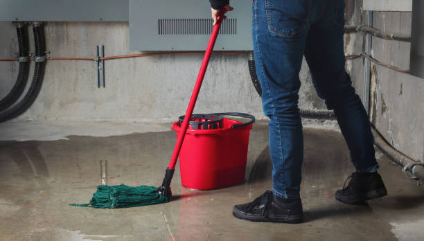 Local water damage restoration in ID