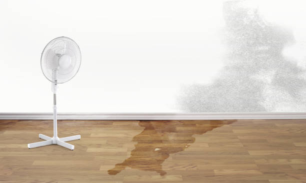 Best 24-hour water damage restoration  in Star, ID