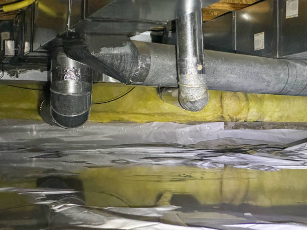 Best Professional water damage repair  in Star, ID