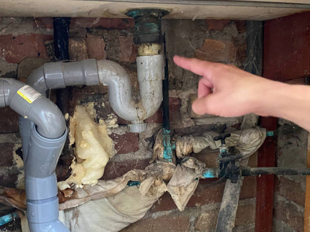 Best Water damage cleanup near me  in Star, ID