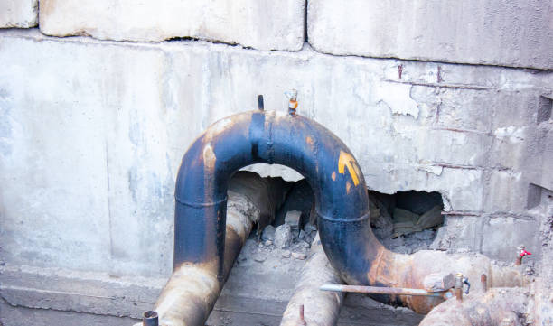 Best Professional water damage repair  in Star, ID