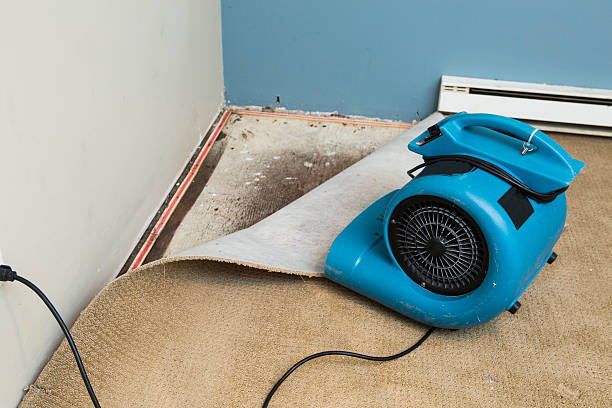 Best Basement water damage restoration  in Star, ID